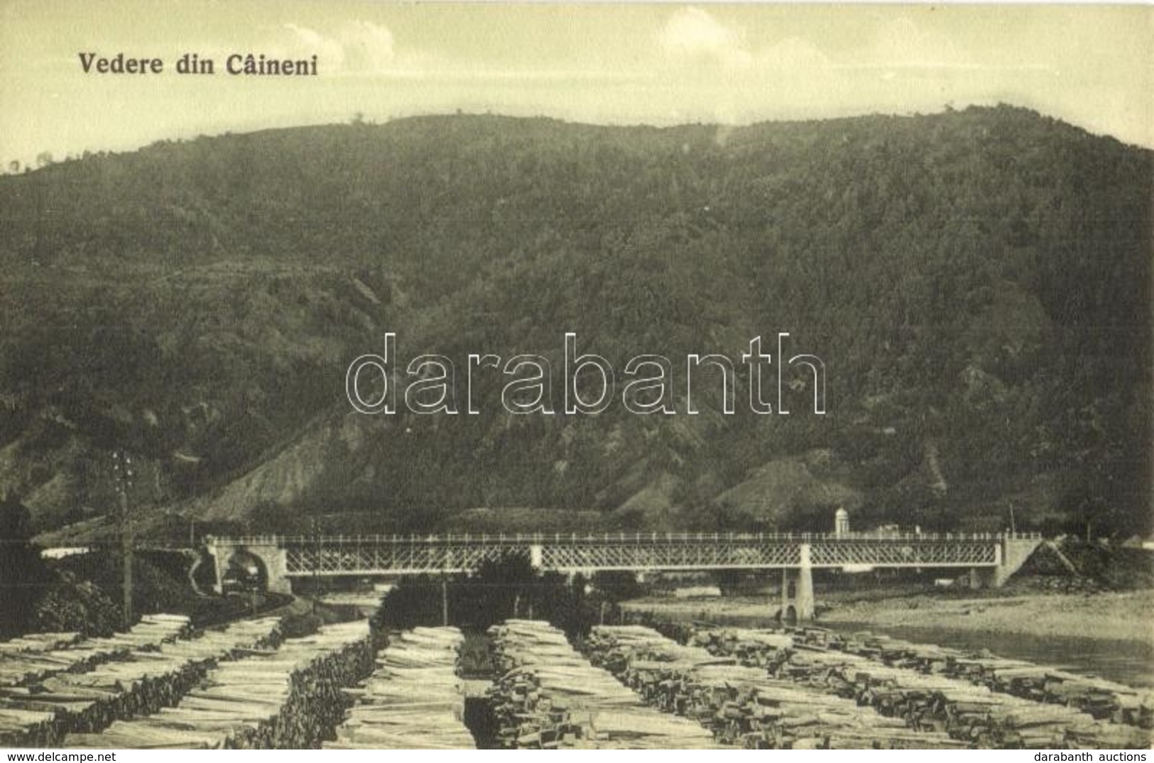** T2 Caineni, Fűrésztelepi Vasúti Híd. Norbert Gust. Schoger Photograph / Sawmill With Railway Bridge - Zonder Classificatie