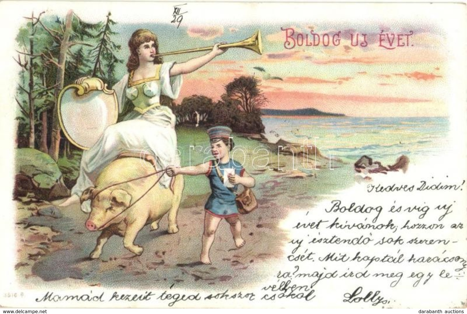 T2 1902 Boldog új évet / New Year Greeting Postcard, Pig, Litho - Zonder Classificatie