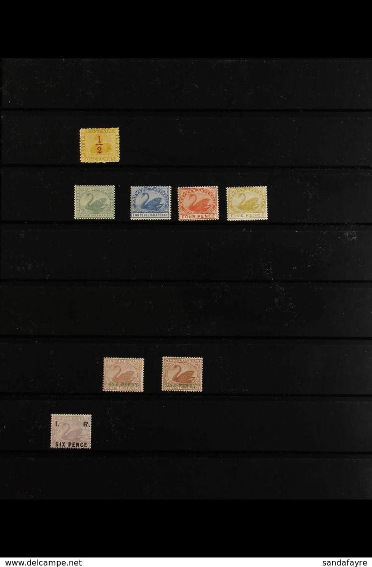 WESTERN AUSTRALIA FRESH MINT COLLECTION Of Perforated Issues From The 1884 ½d On 1d Yellow- Ochre (SG 90), 1885-93 Range - Altri & Non Classificati
