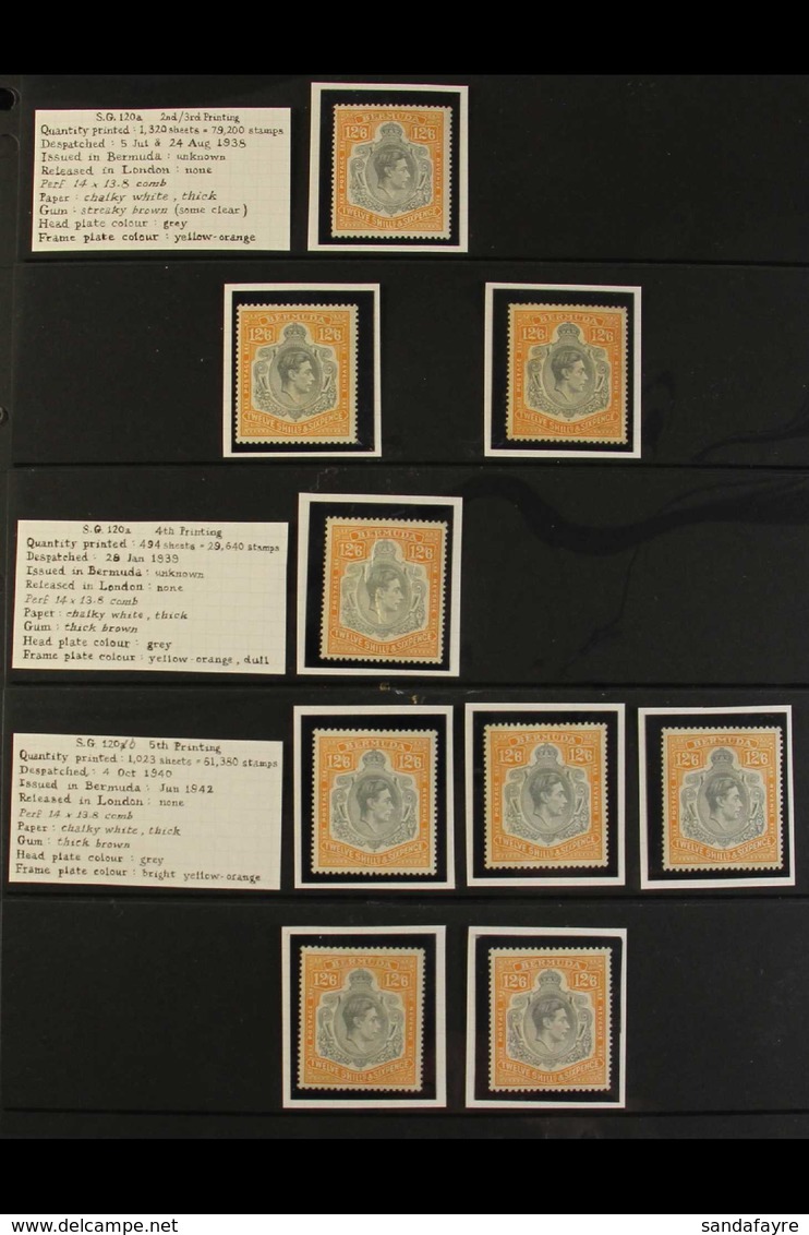 1938-53 12s6d KGVI KEY PLATE COLLECTION CAT £2500 ATTRACTIVE MINT & NEVER HINGED MINT SPECIALIZED COLLECTION On Stock Pa - Bermuda