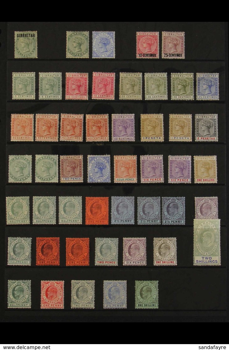 1886-1951 MINT COLLECTION CAT £2300+ A Delightful Collection Presented On Stock Pages With Many Shade, Perf & Watermark  - Gibilterra
