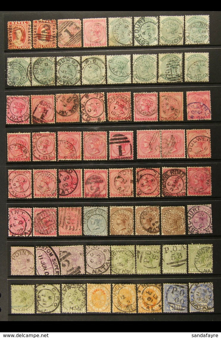 NATAL Postmarks Collection, With Clear To Superb Strikes On QV And KE7 Stamps With Values To 5s, With Numerals, Cds's, P - Non Classificati
