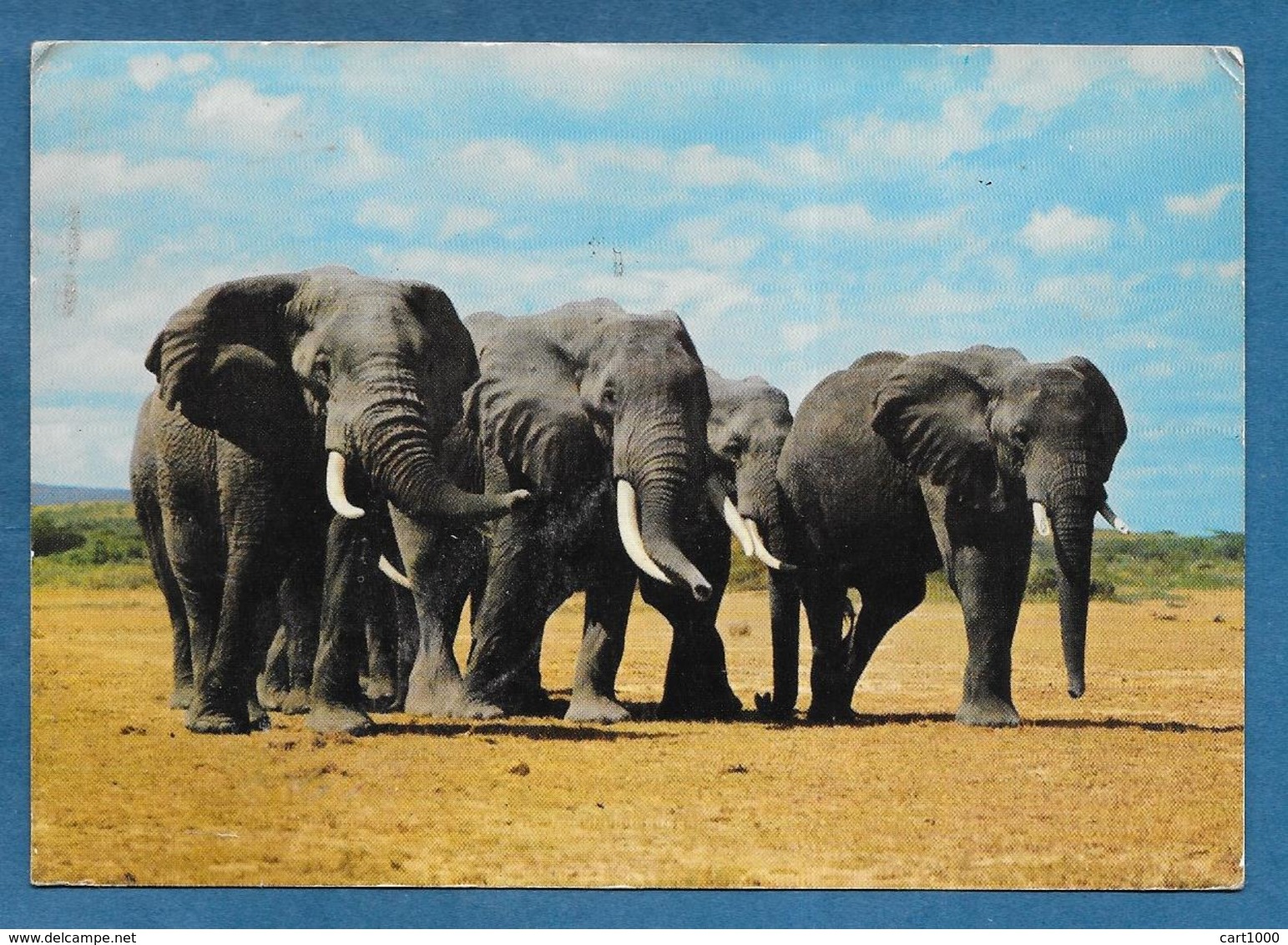 KENYA 1970 ELEPHANT - Kenia