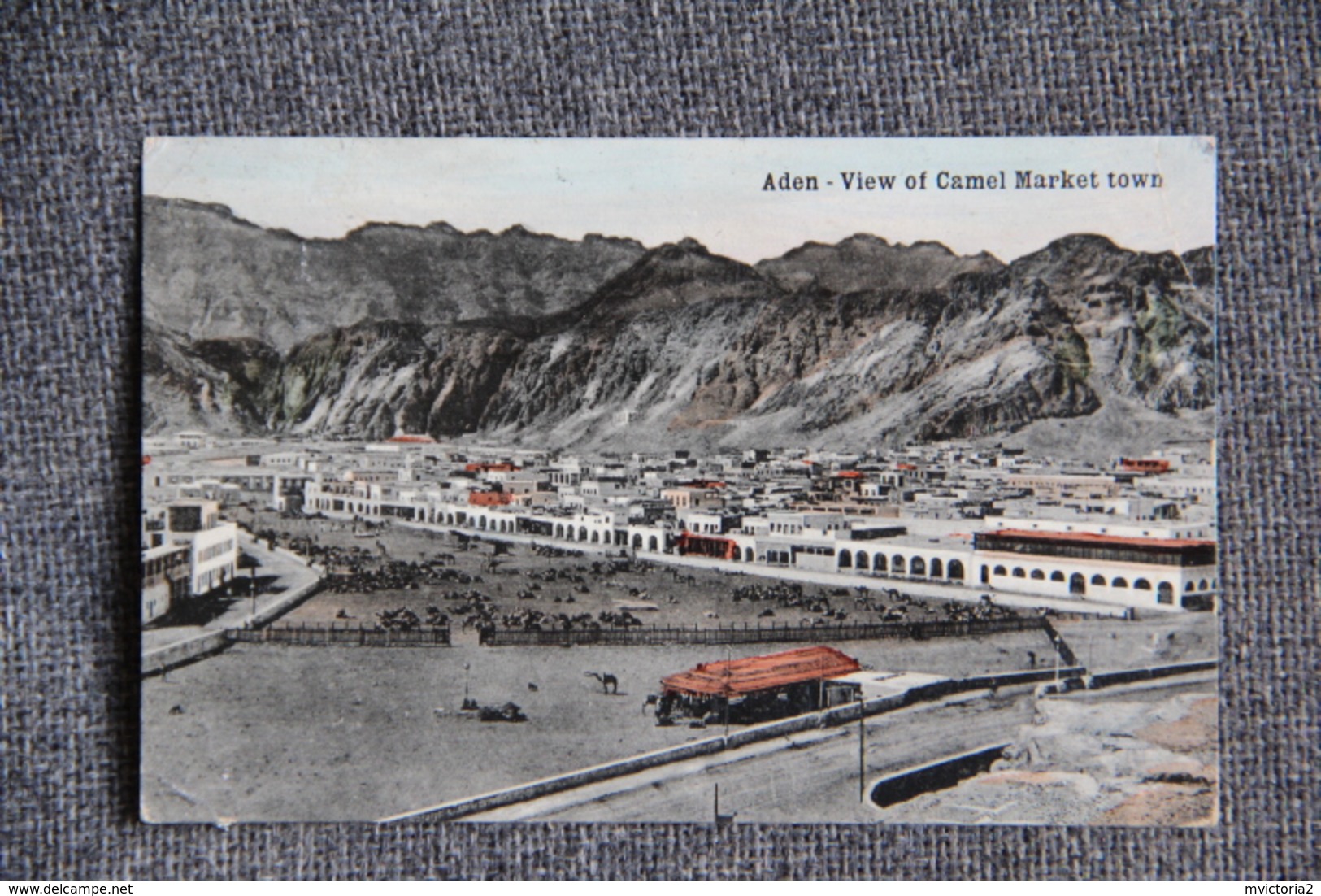 ADEN - View Of Camel Market Town - Yemen