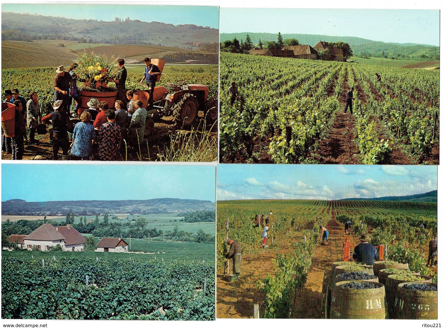 Lot 4 Cpm 39 ARBOIS - Vendangeurs Tracteur VIGNE DOMAINE DE Montfort GRANGE GRILLARD SORBIEF Henri Maire TONNEAU Raisin - Arbois