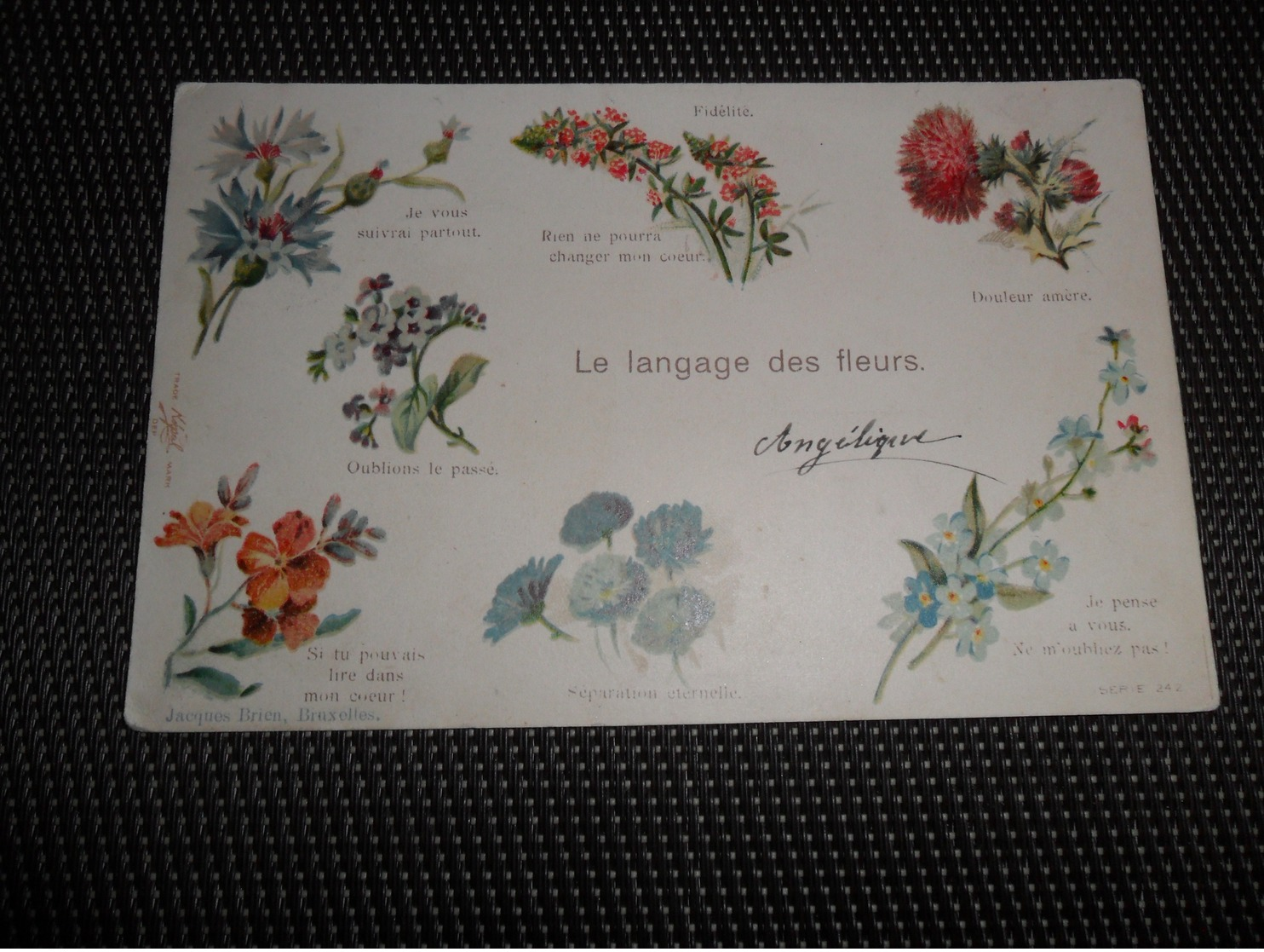 Langage Des Fleurs - Fleurs