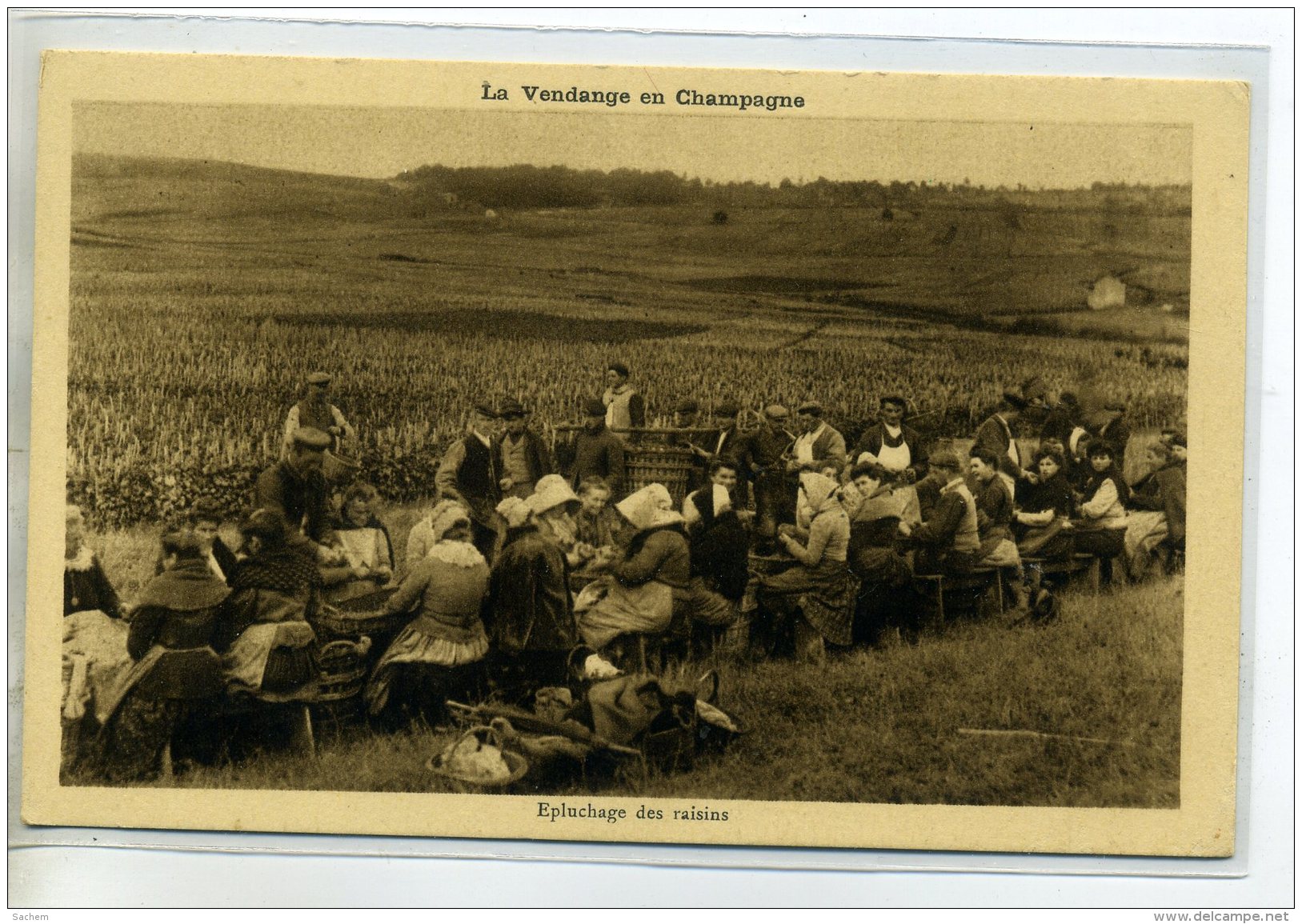 51-10 LA VENDANGE Champagne Vendangeurs Epluchage Des Raisins   MOET Et CHANDON 1925   /D05-2016 - Epernay