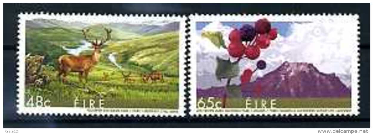 A13723)Blumen: Irland 1648 - 1649** - Sonstige & Ohne Zuordnung