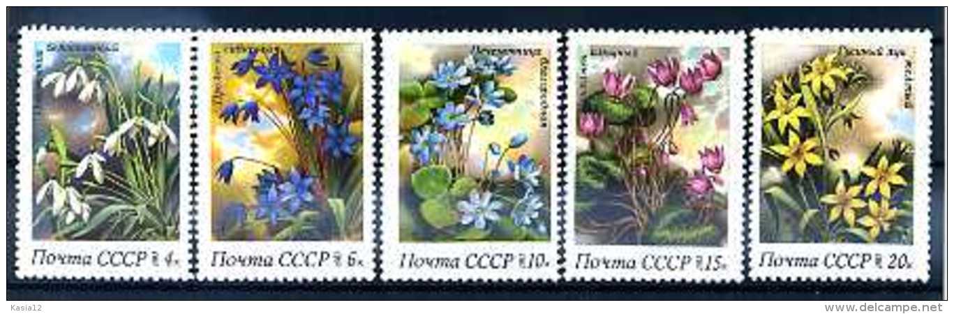 A14161)Blumen: UDSSR 5278 - 5282** - Altri & Non Classificati