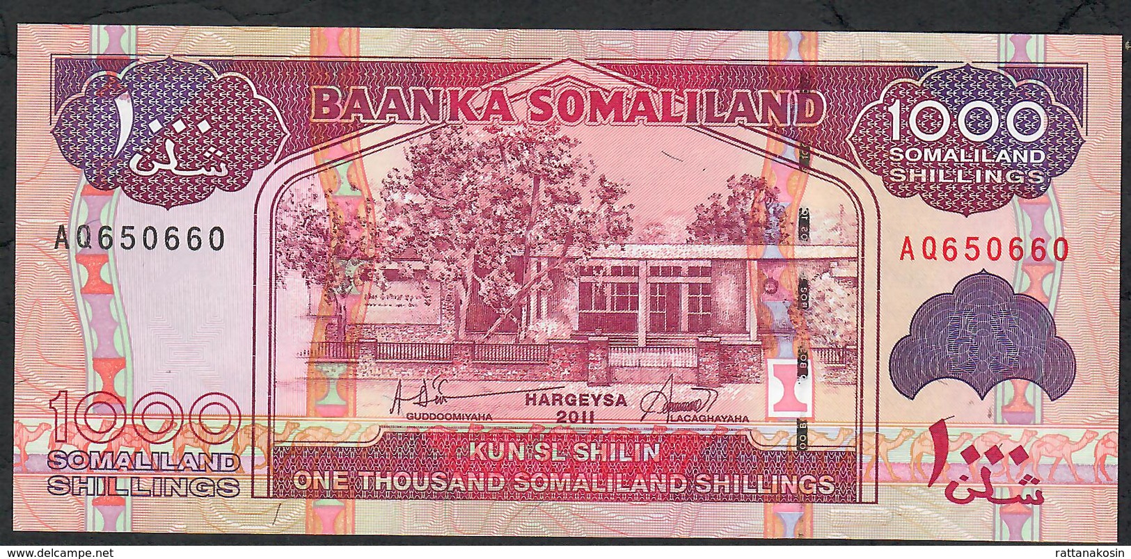 SOMALILAND P20 1000 SHILIN 2011   UNC. - Somalia