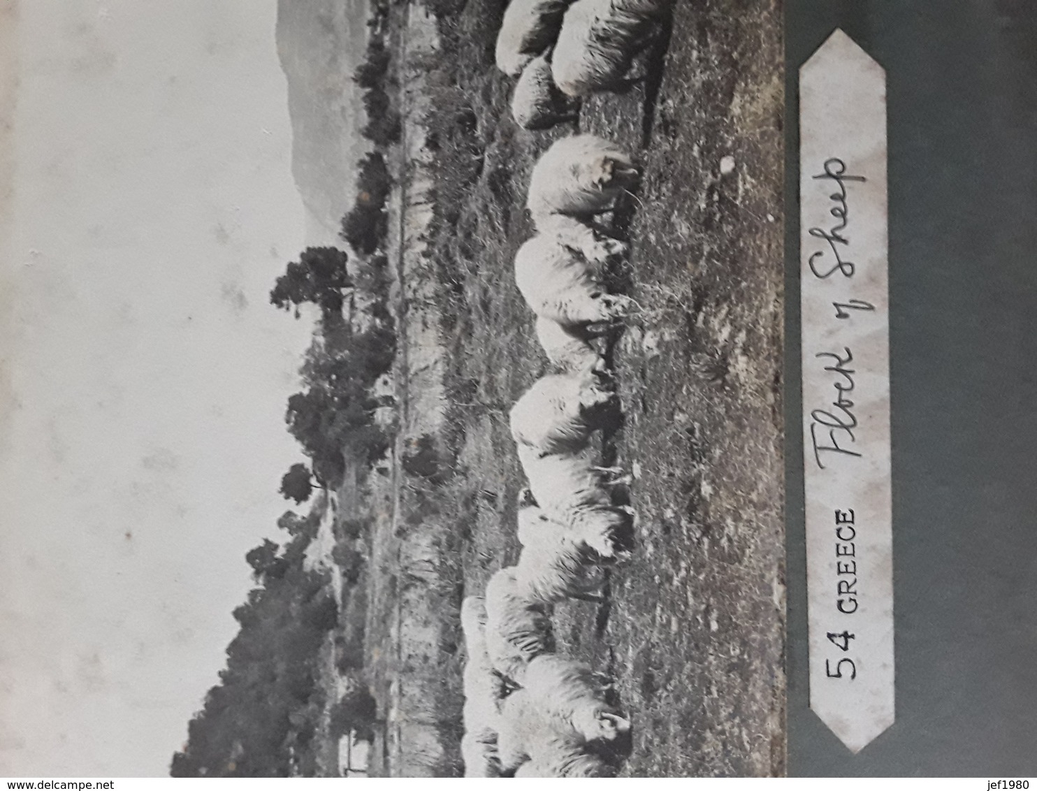 TWO GREAT PHOTOS  GREECE GRIEKENLAND ÷1897 RECTO VERSO SUR CARTON AFMETINGEN  20 CM OP 15 CM - Anciennes (Av. 1900)