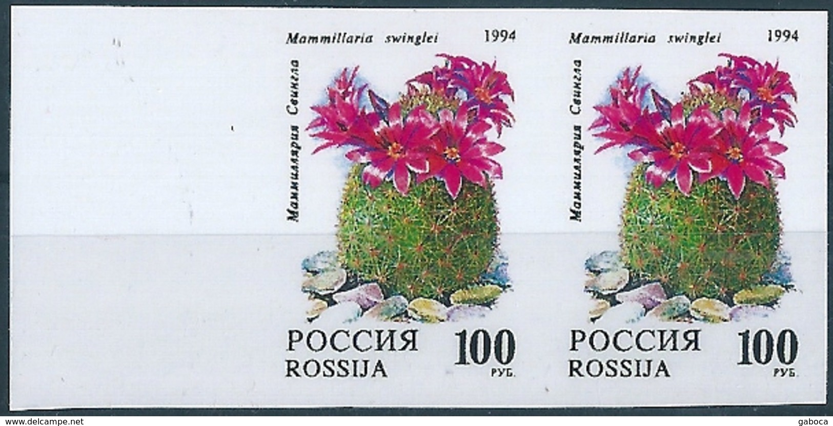 B2130 Russia Rossija Flora Plant Cactus Flower Nature Pair Colour Proof - Sukkulenten