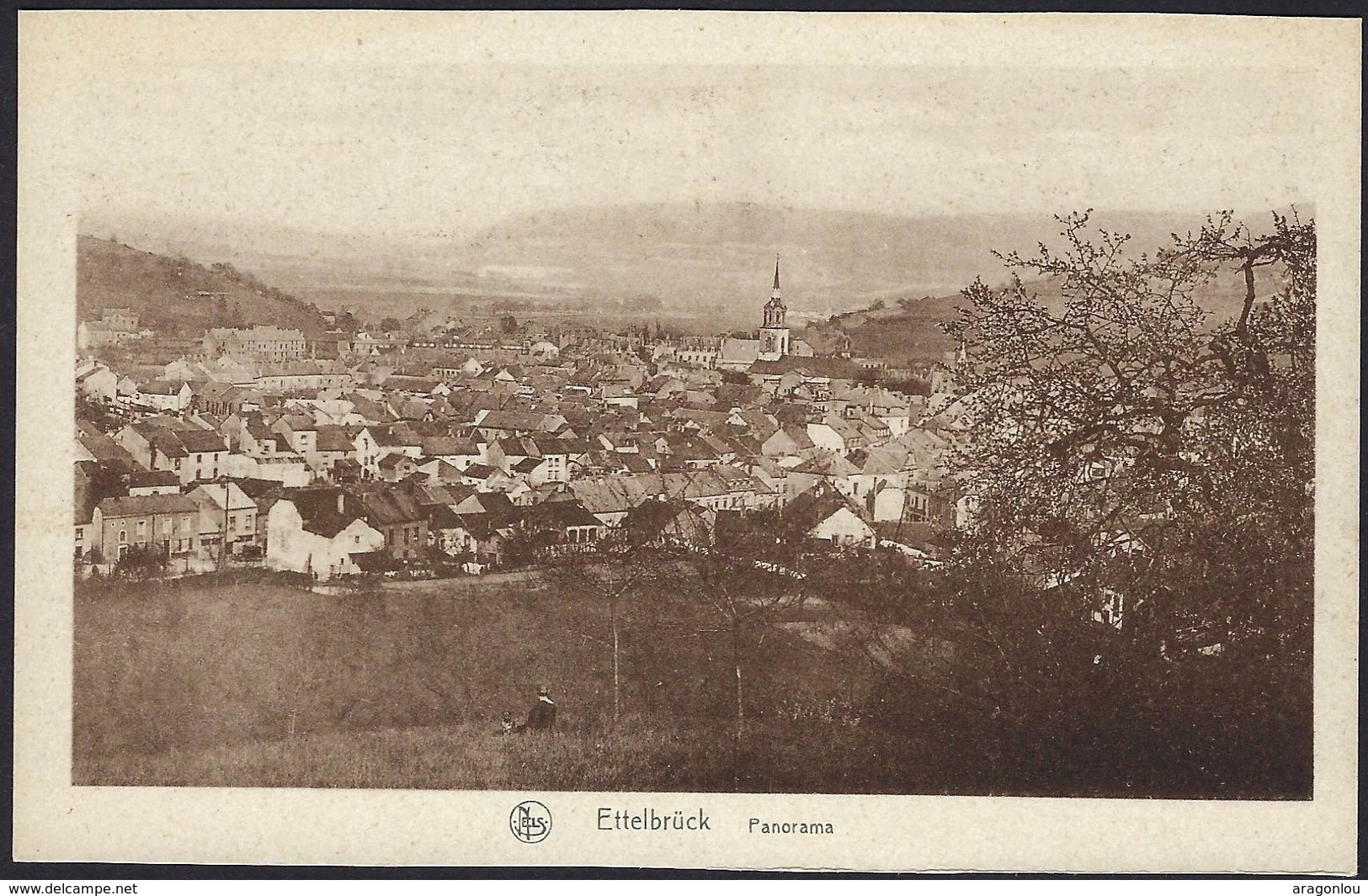 Ettelbruck Panorama, Personnes Dans La Prairie, Carte Ancienne (2scans) - Ettelbruck