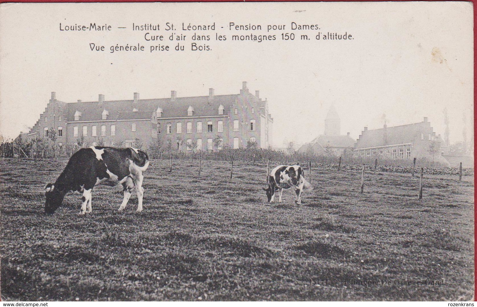 Louise-Marie Etikhove Maarkedal Institut St. Leonard Pension Pour Dames Animee Vaches Koeien Cow - Ronse