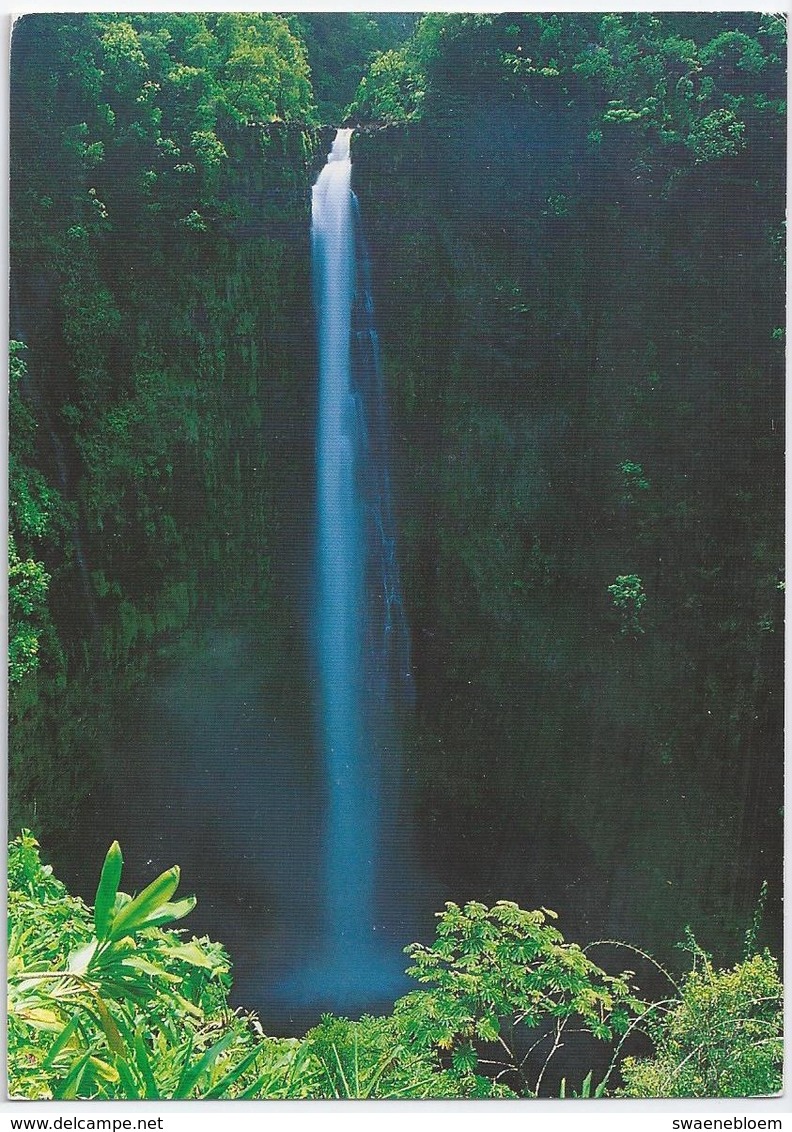 US.- Beautiful AKAKA FALLS STATE PARK. ISLAND Of HAWAII. 1998 - Big Island Of Hawaii