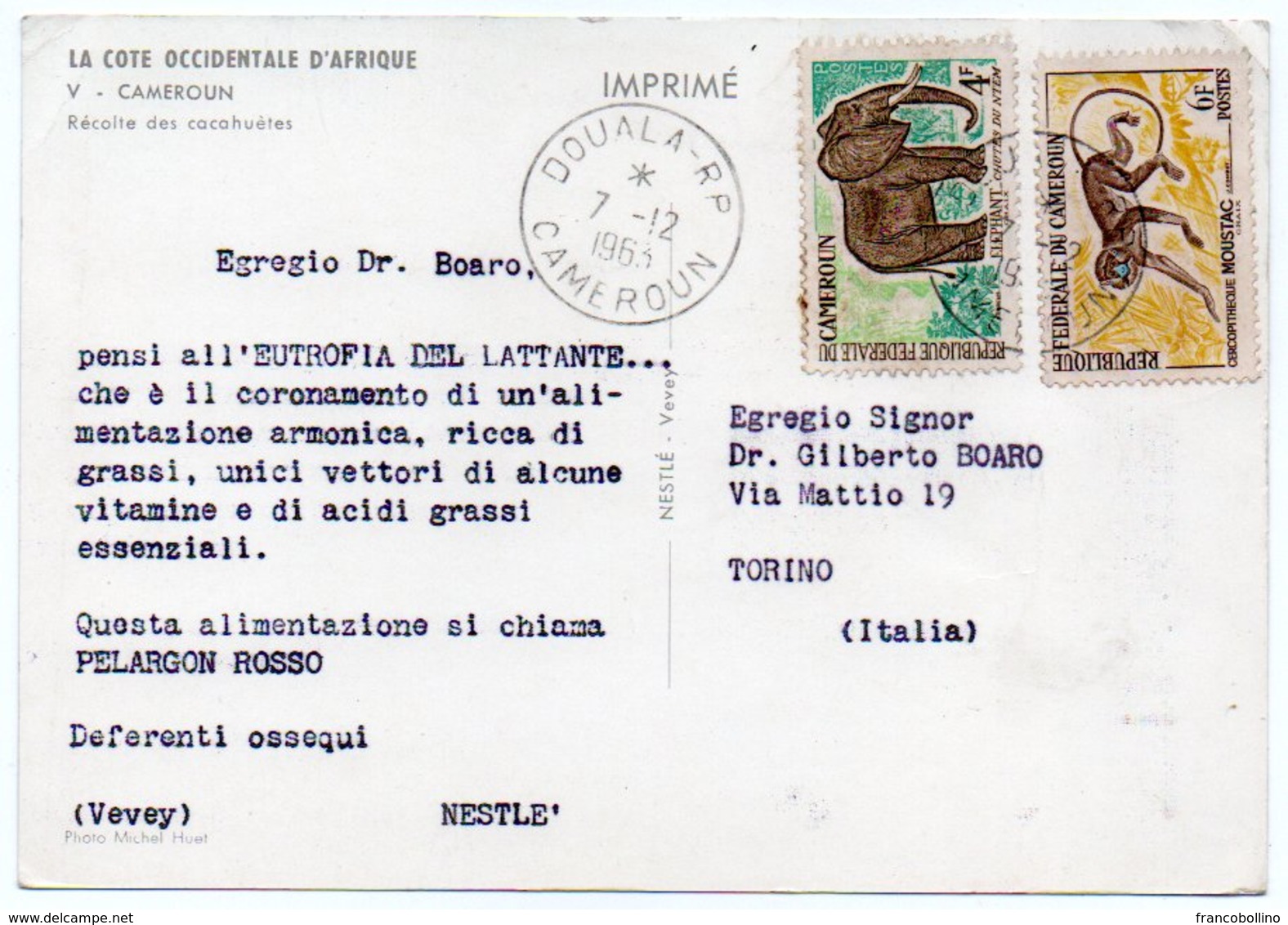 DEAR DOCTOR TYPE PUBL.PELARGON ROSSO-NESTLE' /CAMEROUN RECOLTE DES CACAHUETES / THEMATIC STAMPS-ANIMALS /ELEPHANT-MONKEY - Cameroon