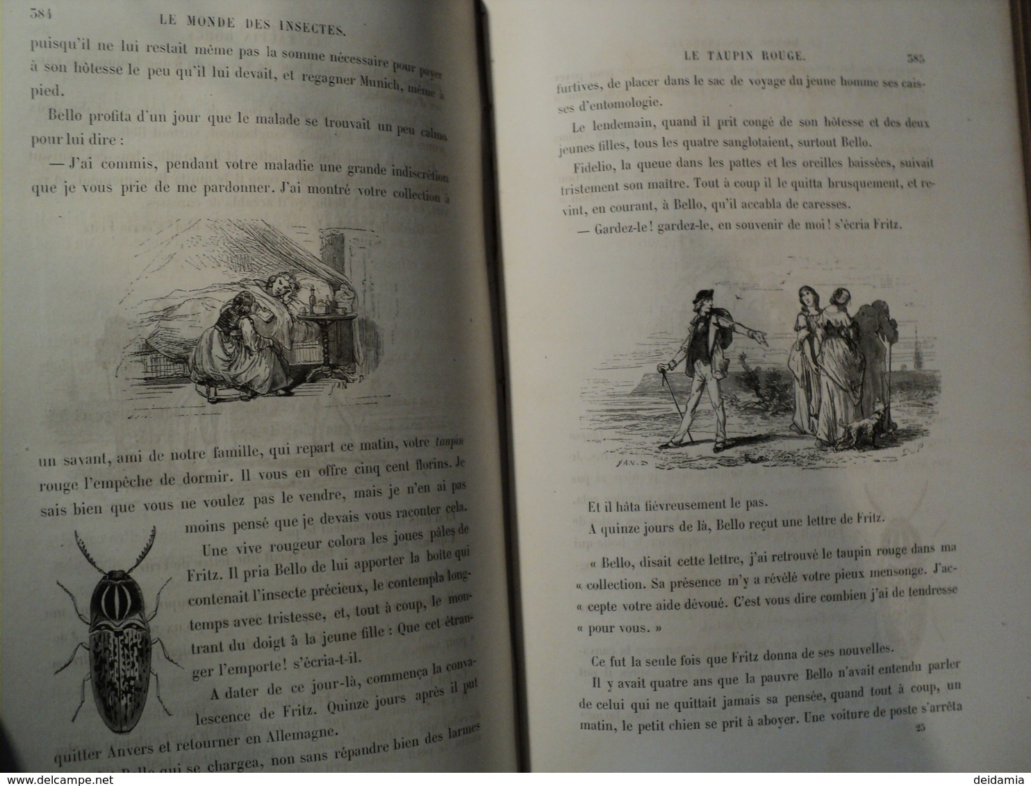 LE MONDE DES INSECTES. FIN XIX°. BERTHOUD. ILLUSTRE PAR YAN D ARGENT. GARNIER BEAU LIVRE JOLIMENT RELIE ET ILLUSTRE. - 1801-1900