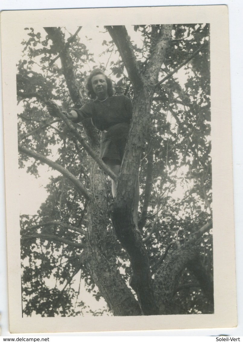 Belle Femme Dans Un Arbre Snapshot - Pin-Ups