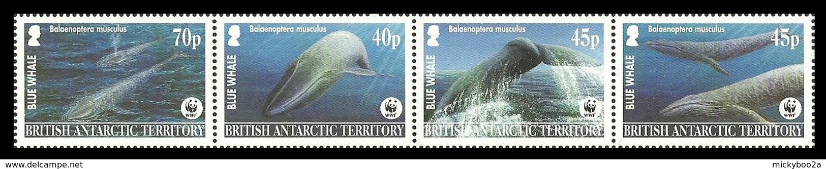 BRITISH ANTARCTIC 2003 WWF WORLD WILDLIFE ENDANGERED WHALES MARINE LIFE SET MNH - Unused Stamps