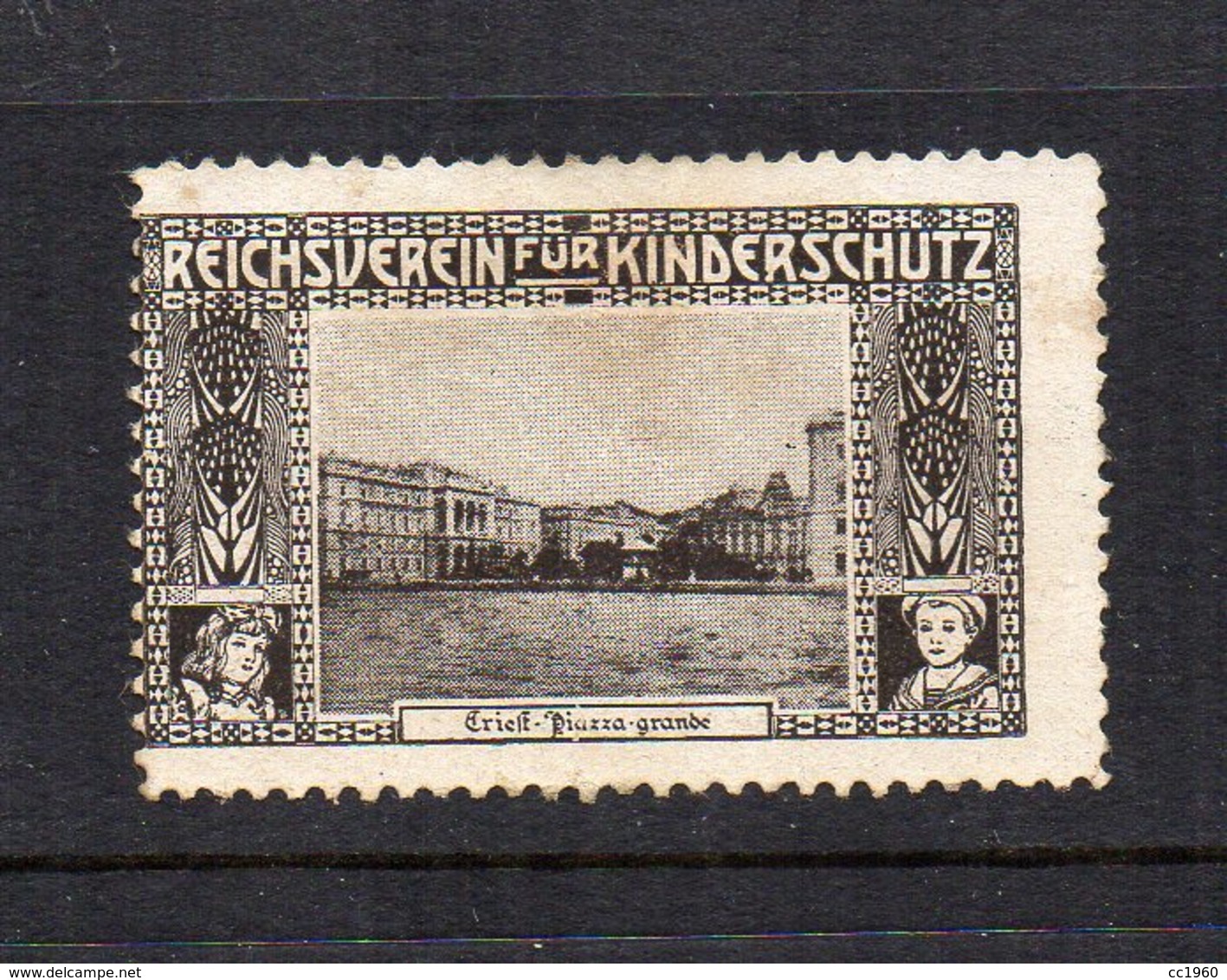 Austria - ERINNOFILO - Reichverein Fur Kinderschutz - Trieste - Piazza Grande - Linguellato- Vedi Foto - (FDC11682) - Cinderellas