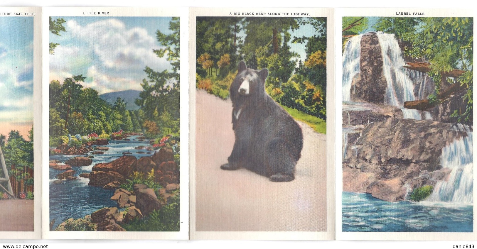 USA - Great Smoky Mountains National Park - Pochette Postale, Contenant 18 Vues - Format 9x14) -postcard Cover, 18 Views - Smokey Mountains