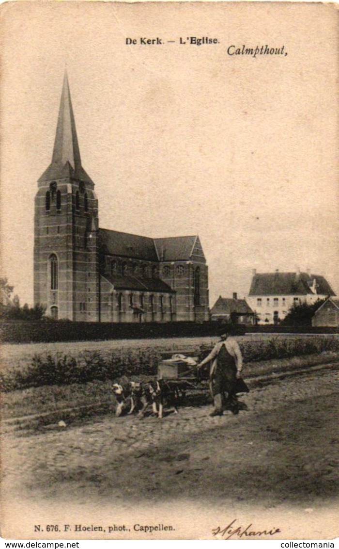 1905 , CALMPTHOUT- DE KERK - HOELEN 676 - Timmerman Met 3 Honden Om Kar Met Werk  Gerief  Te Trekken Attelage VENTER - Street Merchants