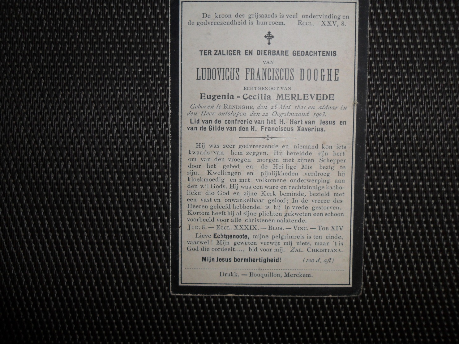 Doodsprentje ( C 851 ) Dooghe / Merlevede  -   Reninghe - Reninge   1903 - Obituary Notices