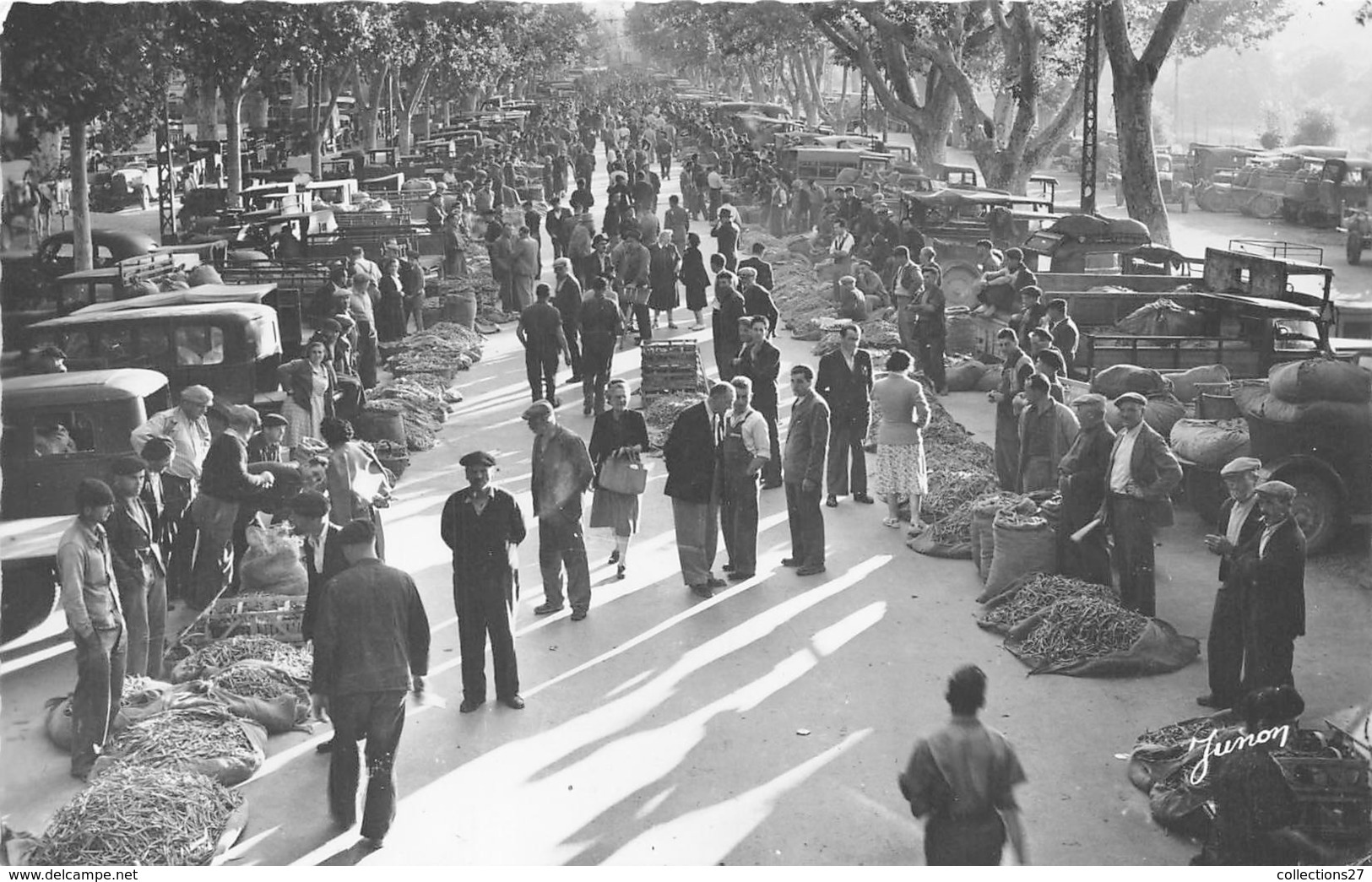 84-CARPENTRAS- LE MARCHE AUX PRIMEURS - Carpentras