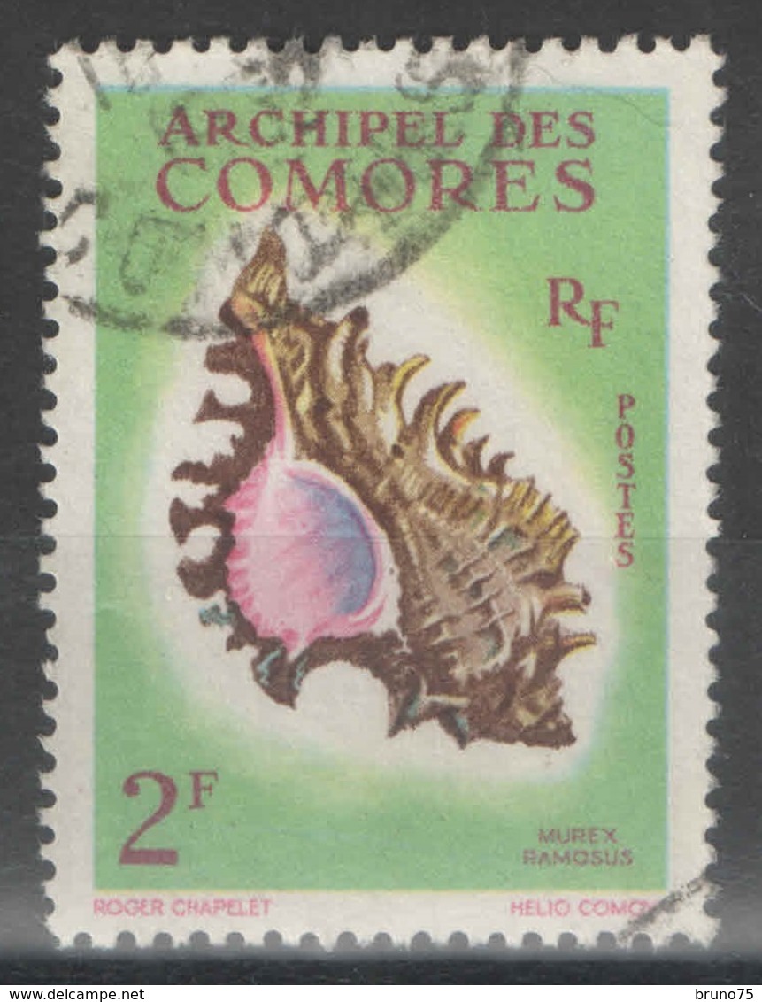 Comores - YT 21 Oblitéré - 1962 - Coquillage - Shell - Used Stamps