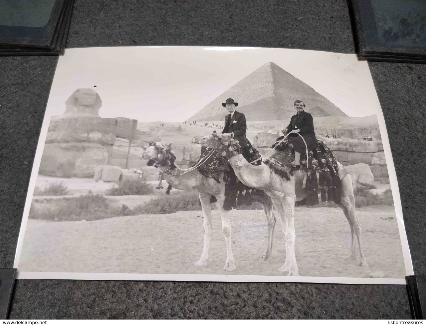 ANTIQUE PHOTO COUPLE OF OLDERS ON CAMELS IN EGYPT 1961 - Luoghi