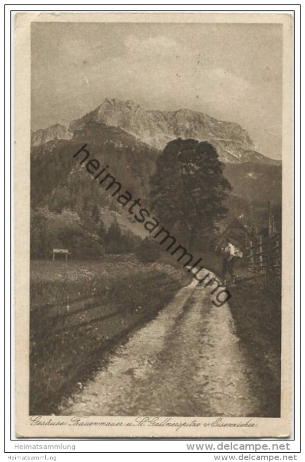 Gesäuse - Frauenmauer Und St. Gallnerspitze Vom Eisenzieher - Verlag Karl Them Steyr Gel. 1941 - Gesäuse