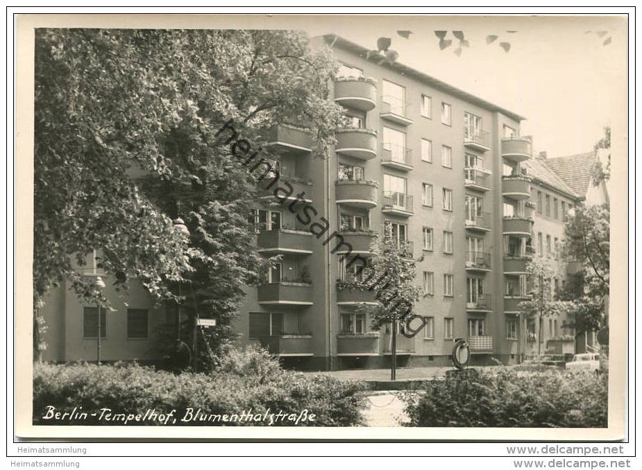 Berlin-Tempelhof - Blumenthalstrasse - Foto-AK Grossformat Handabzug - Verlag Bruno Schroeter Berlin 60er Jahre - Tempelhof