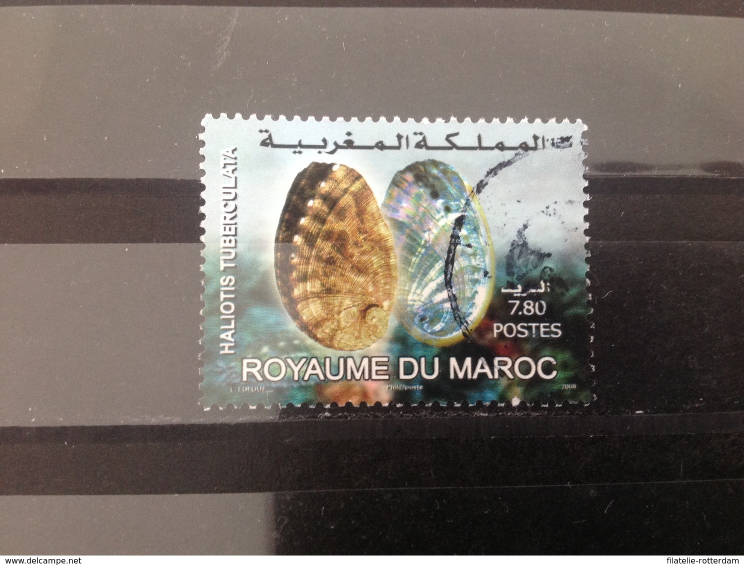 Marokko / Maroc - Zeedieren (7.80) 2008 - Marokko (1956-...)