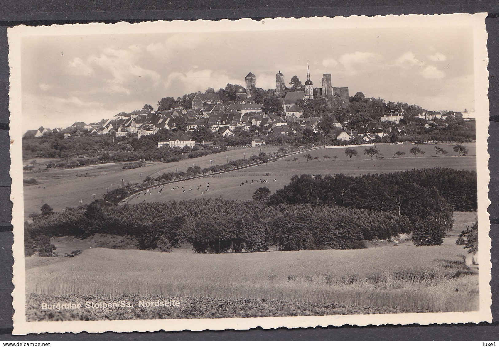 GERMANY  , Stolpen ,  OLD  POSTCARD - Stolpen