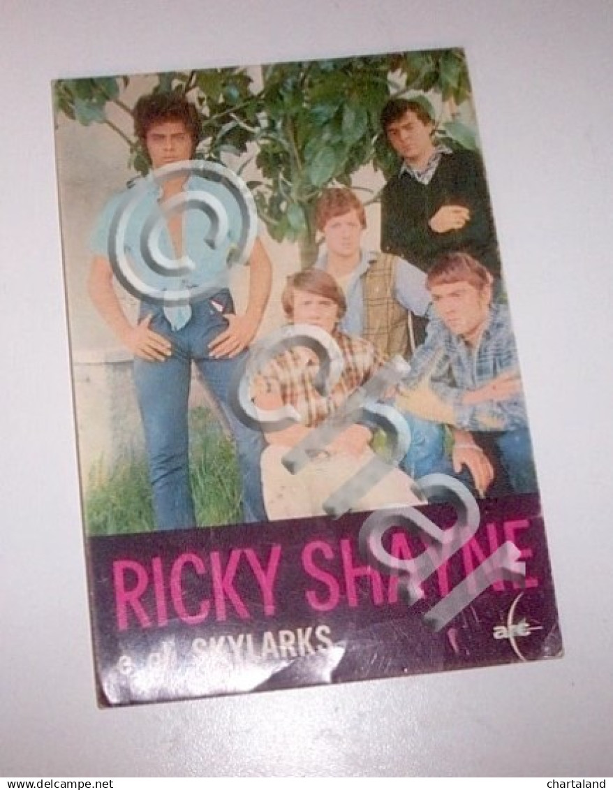 Musica Leggera Cartolina Originale Cantagiro Ricky Shayne E Gli Skylarks - 1966 - Formati Speciali