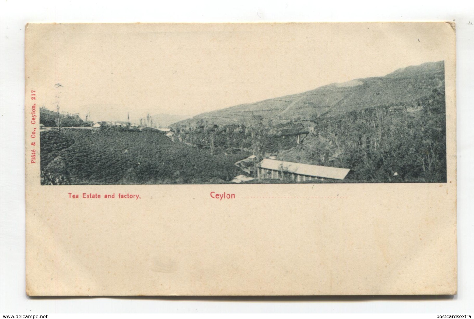 Ceylon / Sri Lanka - Tea Estate & Factory - Early Postcard, Undivided Back - Sri Lanka (Ceylon)