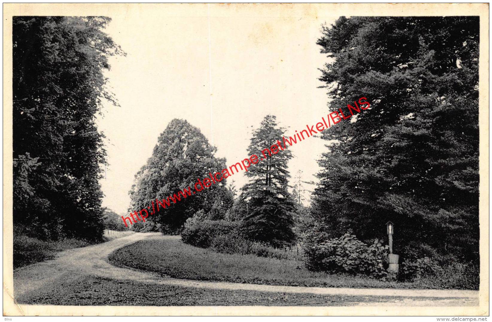 Dunes Et Bruyeres - Oeuvre Nationale Des Colonies Scolaires Catholiques - Serinchamps - Ciney