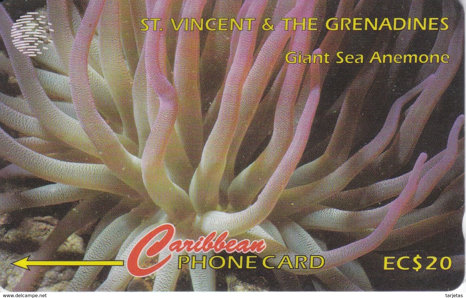 TARJETA DE ST. VINCENT & GRENADINS DE UNA ANEMONA 52CSVG (FISH-PEZ-POISSON) - St. Vincent & Die Grenadinen