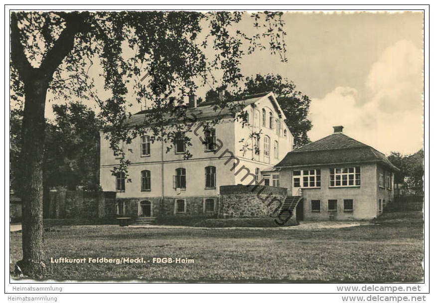 Feldberg - FDGB Heim - Foto-AK - Verlag Rother Bestensee - Feldberg