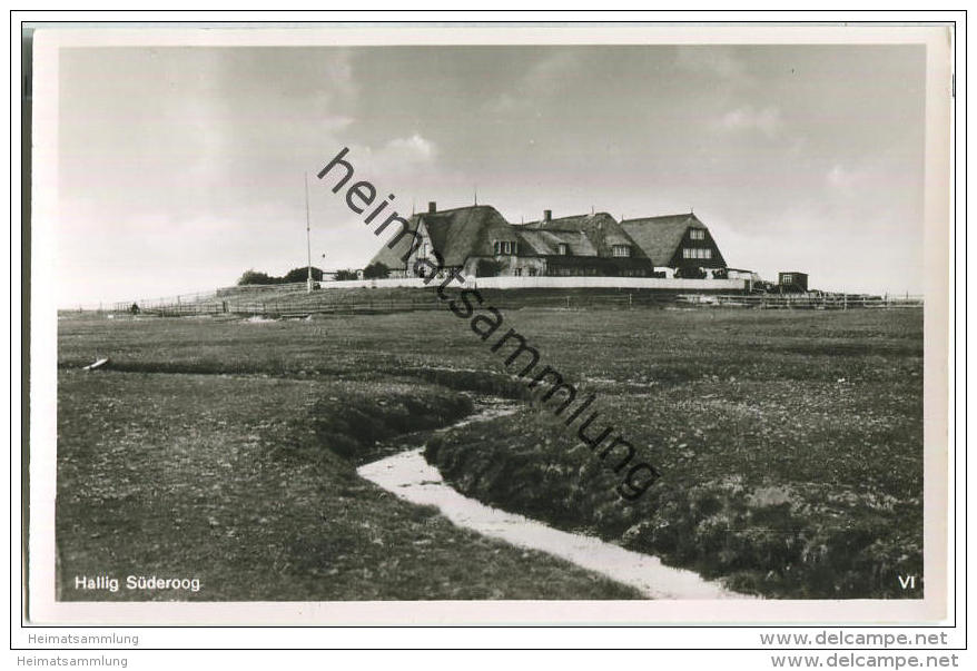 Hallig Süderoog - Foto-AK - Halligen