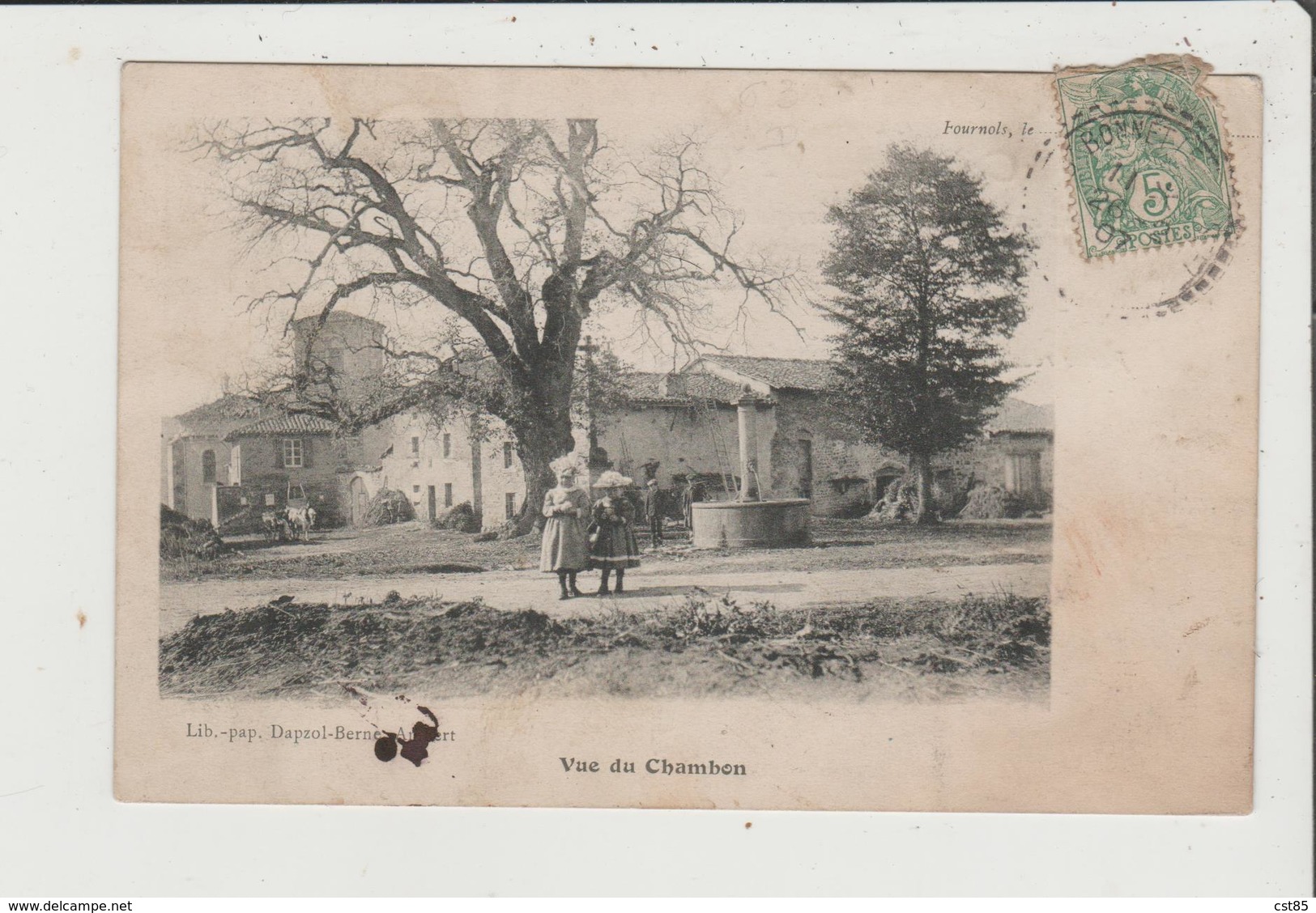 CPA - FOURNOLS - Vue Du Chambon - Autres & Non Classés