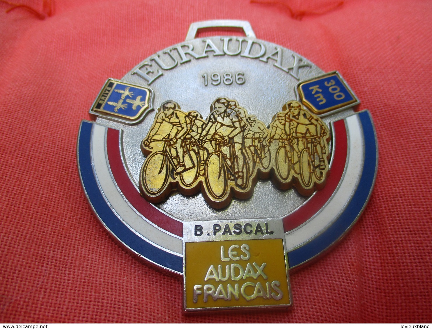 Médaille De Sport/Cyclisme/ EURAUDAX/ 300 KM/ BRIVE/ Les Audax Français/1986    SPO285 - Cyclisme