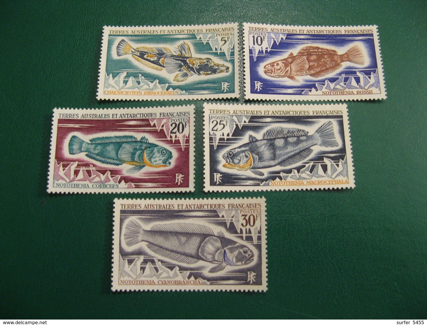 TAAF YVERT POSTE ORDINAIRE N° 34/38 - TIMBRES NEUFS** LUXE - MNH - SERIE COMPLETE - COTE 26,00 EUROS - Ungebraucht