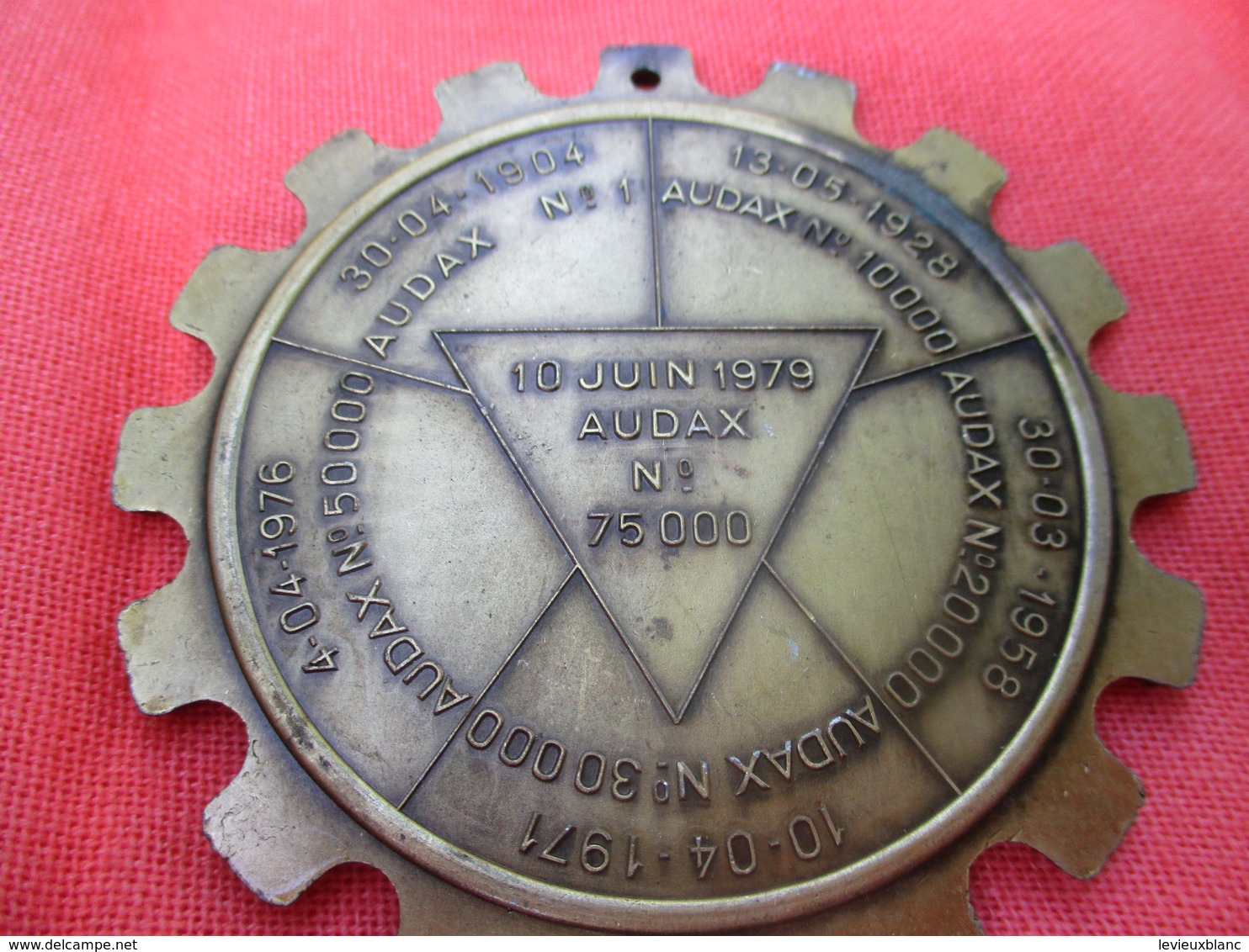 Médaille De Sport/Cyclisme/ EURAUDAX/ 200 KM/ Xéme Anniversaire/ BRIVE/Les Audax Français/1980    SPO288 - Radsport