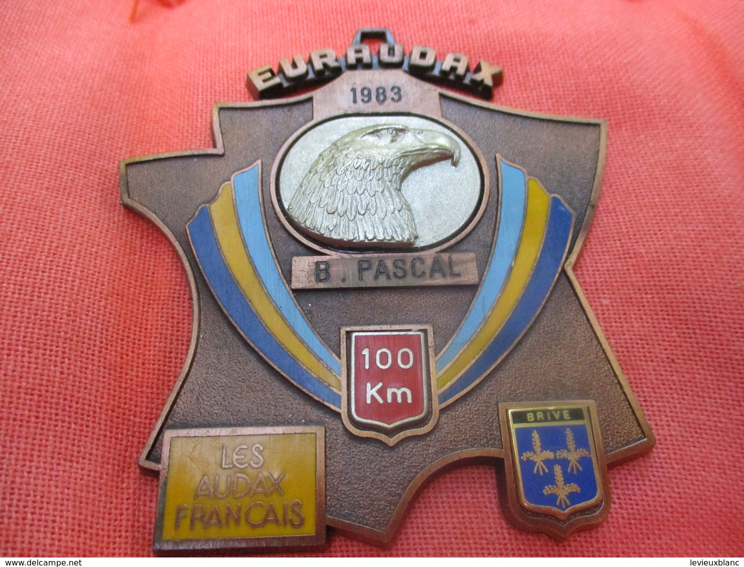 Médaille De Sport/Cyclisme/ EURAUDAX/100 KM/ / BRIVE/Les Audax Français/1983    SPO291 - Radsport