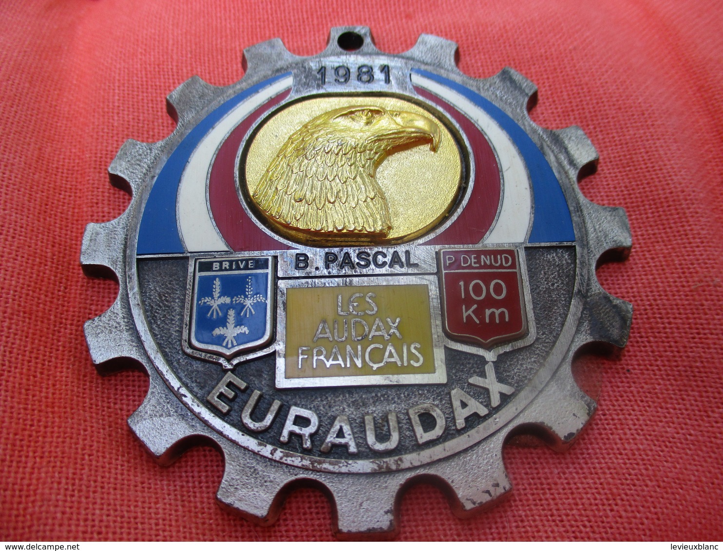 Médaille De Sport/Cyclisme/ EURAUDAX/100 KM P Denud/ Tête D'Aigle/ BRIVE/Les Audax Français/1981    SPO290 - Radsport