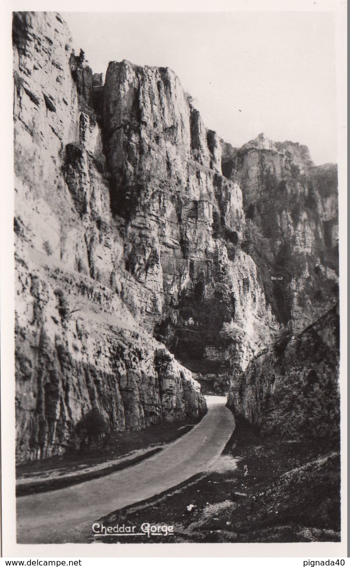 Cp , ANGLETERRE , CHEDDAR Gorge - Cheddar