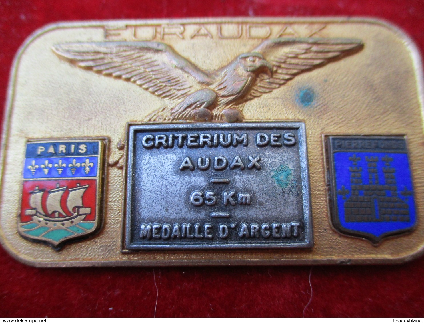 Médaille De Sport/Cyclisme/EURAUDAX/265 KM/Aigle à Ailes Déployées/PARIS-PIERREFONDS/vers 1960   SPO322 - Cyclisme