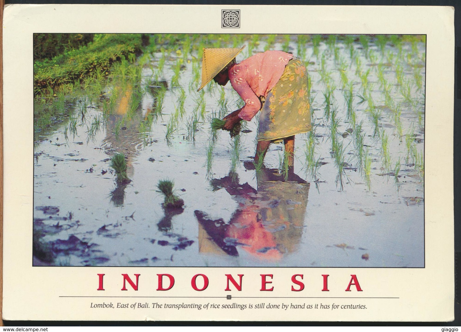 °°° GF544 - INDONESIA - LOMBOK , EAST OF BALI - 1990 With Stamps °°° - Siria