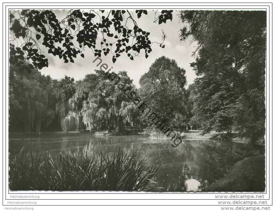 Berlin-Steglitz - Stadtpark - Foto-AK Grossformat - Steglitz